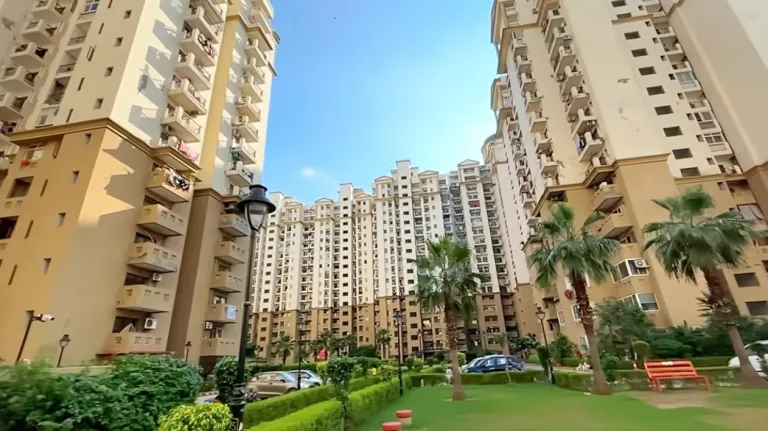 Property in Greater Noida and Noida with Many Seasons