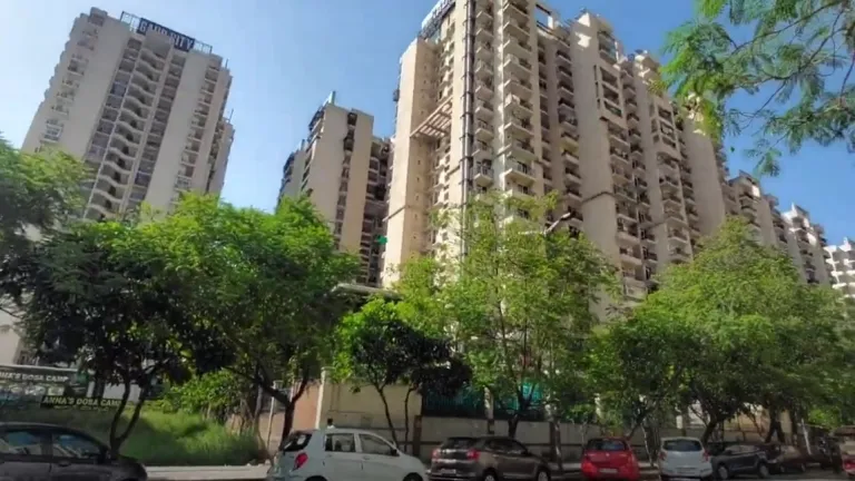 Gaur City 11th Avenue 2/3 BHK Apartments Noida Extension